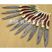 Lot of 10 Damascus Folding Laguiole Knife (SMF66)