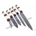5 Pieces Kitchen Hand Made Damascus Knives Set (Smk1002)